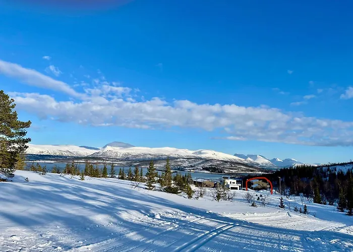 Villa Artic