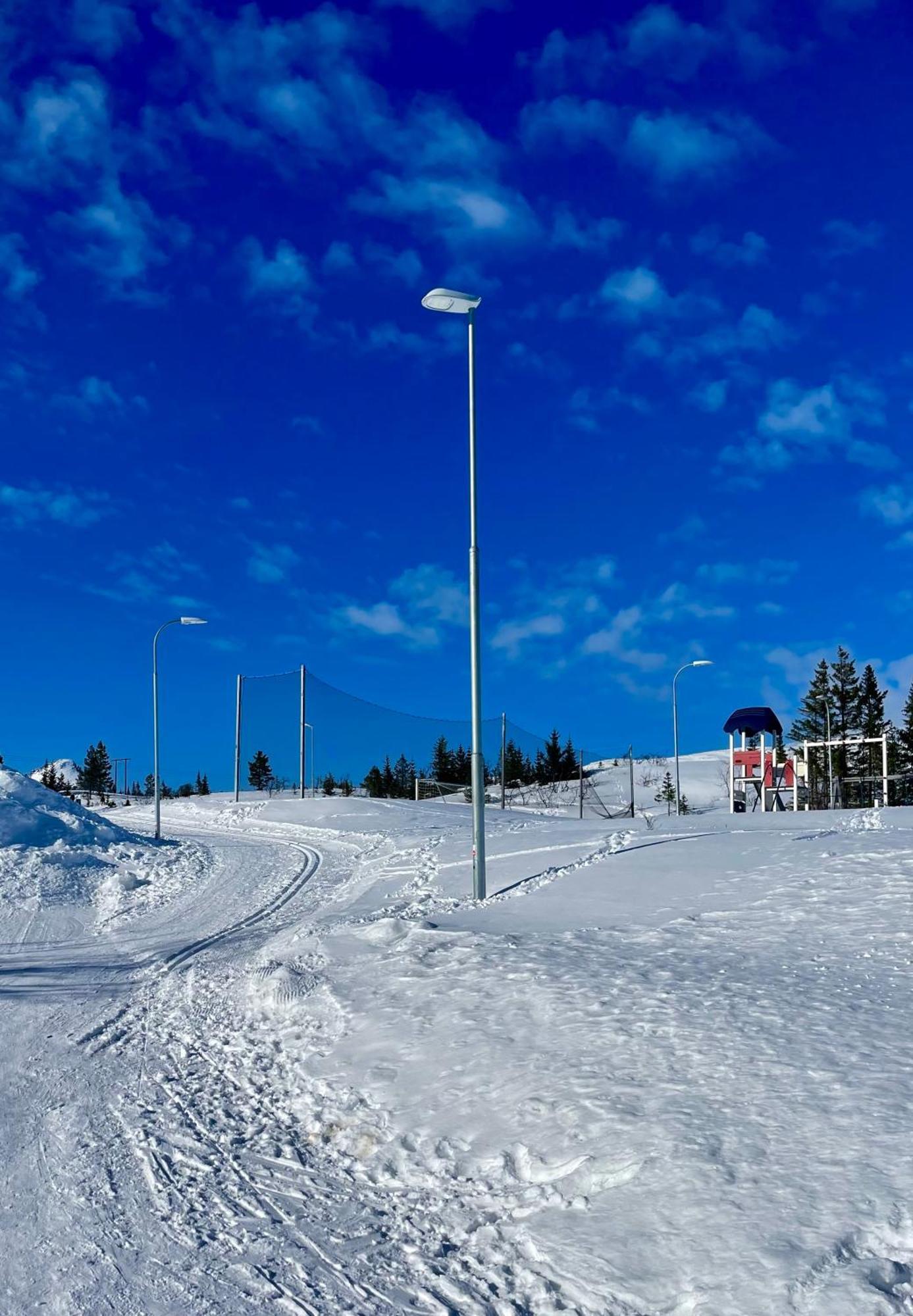 Artic Villaer
