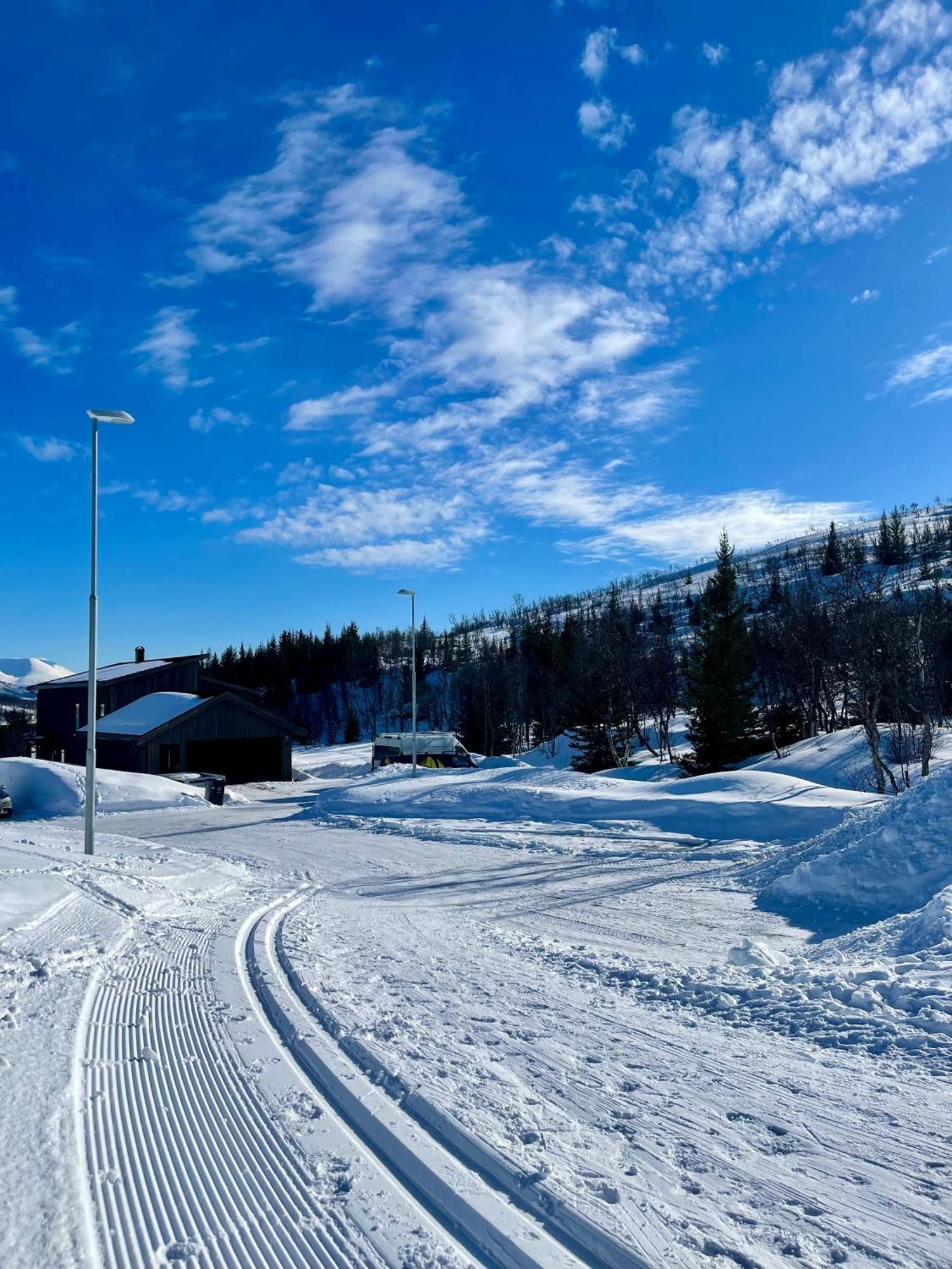 Artic * Tromsø