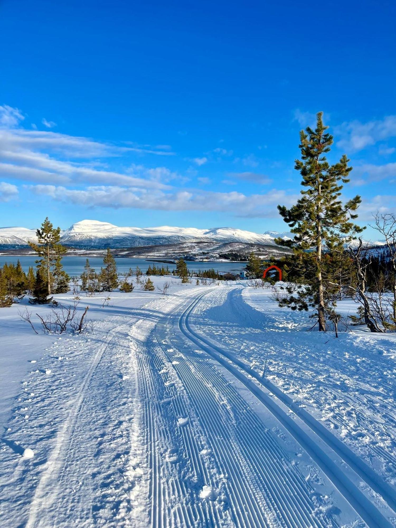 Artic Villaer