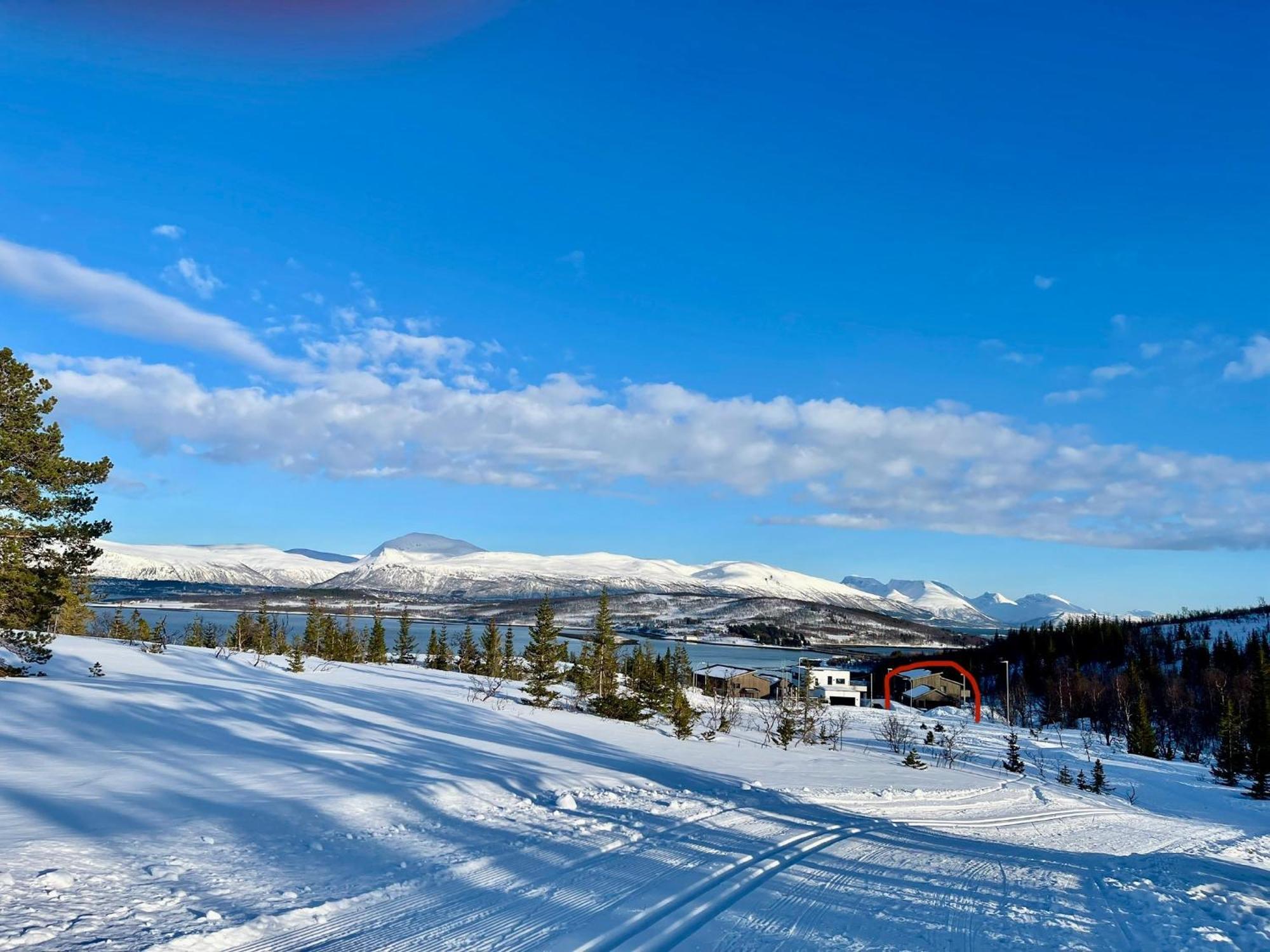Villaer Artic *